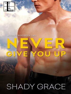 cover image of Never Give You Up